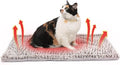 Self Heating Cat Pad Self Warming Bed 27.5" x 18.5" Thermal Heated Cat Mat by MoraPets