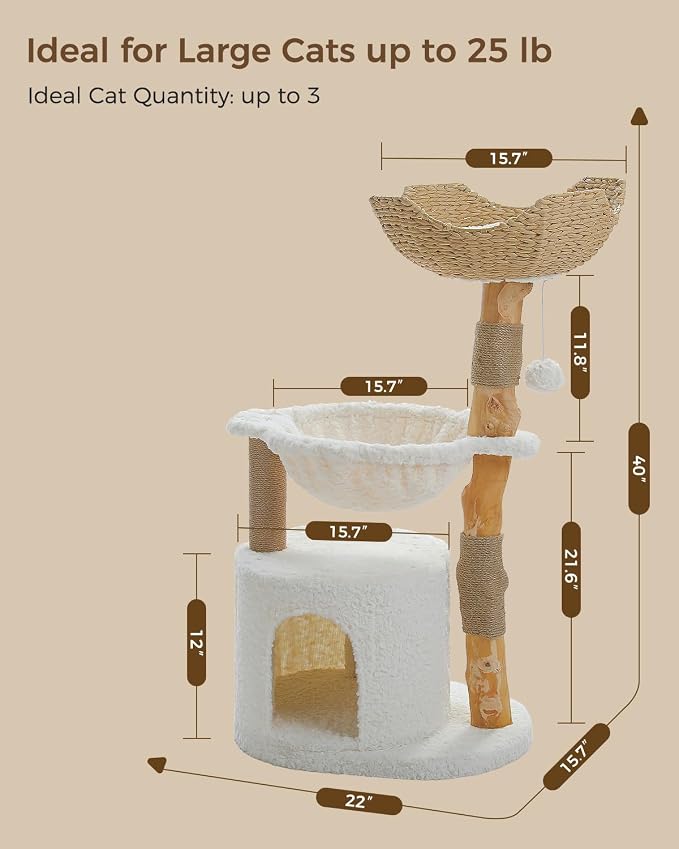 Modern Cat Tree for Large Cats, Wood Cat Tower for Indoor Cats, Real Branch - Image 7