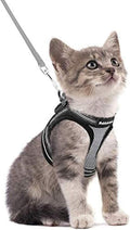 rabbitgoo Cat Harness and Leash Set by rabbitgoo