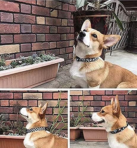 Roses&Poetry Dog Collar with Colourful Star Patterns, Adjustable Durable Puppy - Image 5