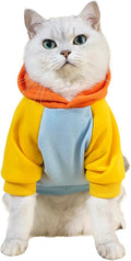 QWINEE Basic Dog Hoodie Sweatshirt Puppy Sweater Warm Cat Costumes Pet Clothes by QWINEE