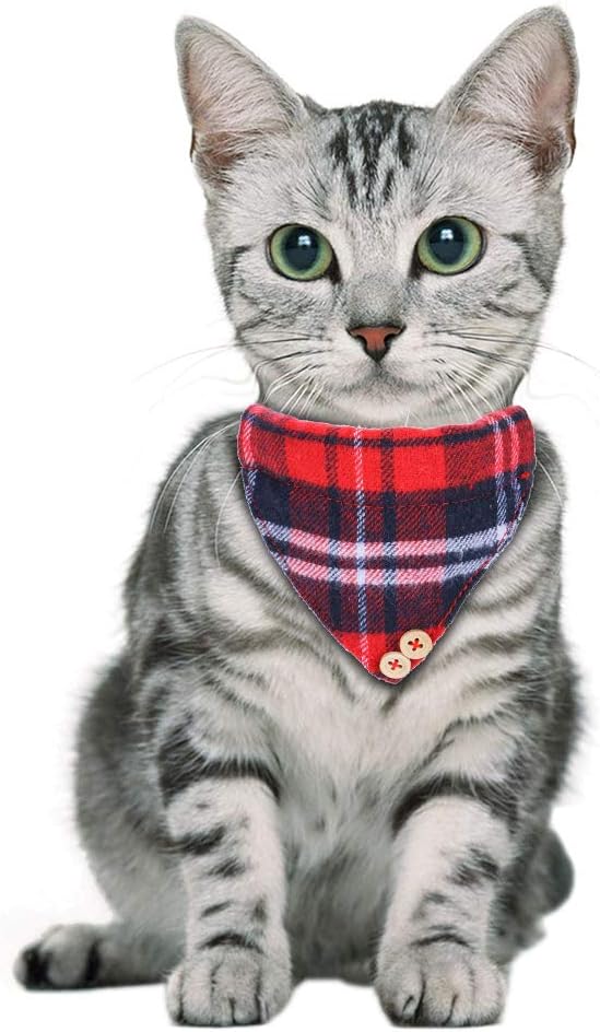 Faleela Breakaway Cat Collar - Image 6