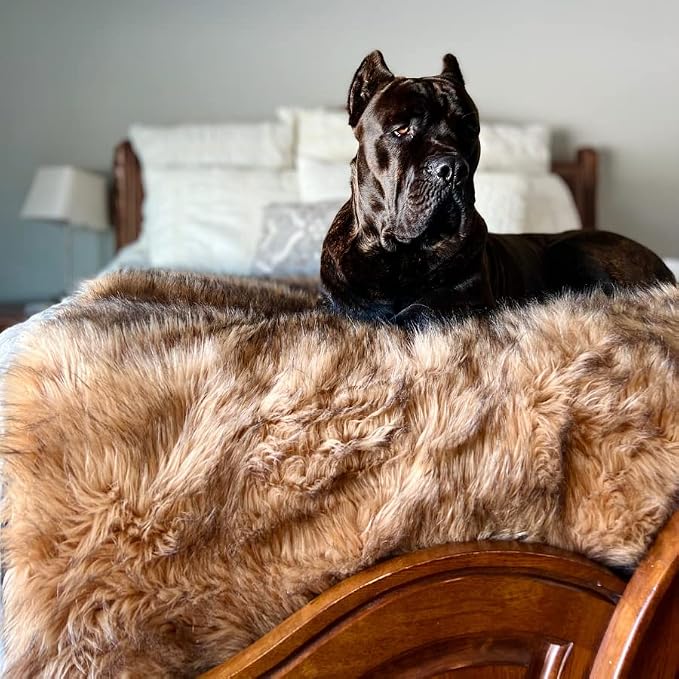 PupProtector Waterproof Throw Blanket - Image 3