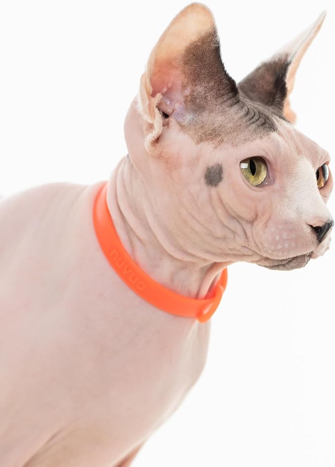 3 Pack Breakaway Cat Collar - Image 6