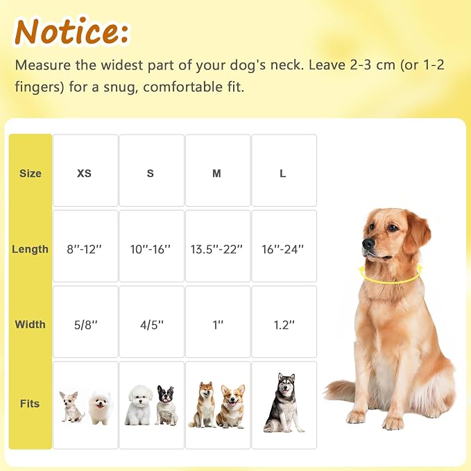 Yellow Dog Collar for Large Dogs, Spring & Summer Theme Large Dog Collars - Image 2