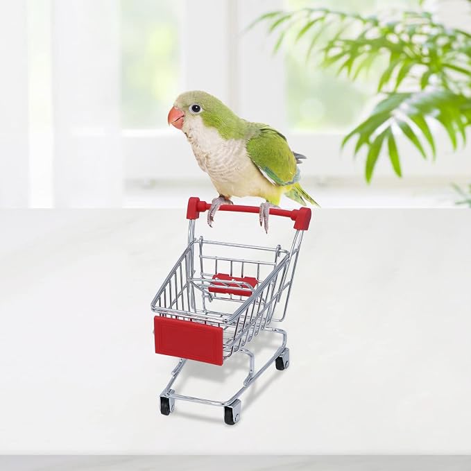 Wontee Bird Toys Mini Shopping Cart Skateboard Ring Toy - Image 5