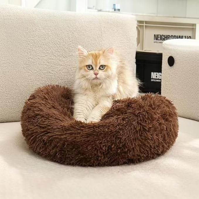 Cat Beds for Indoor Cats - Image 6