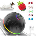 Valentines Day Gifts Interactive Dog Toys Dogs Ball, Moving Dog Toy by AUTRETY