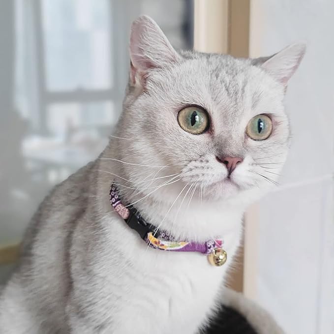 PetSoKoo Cat Collar with Kitty Face Bell. Cute Japan Chirimen Kitten Collar. - Image 5