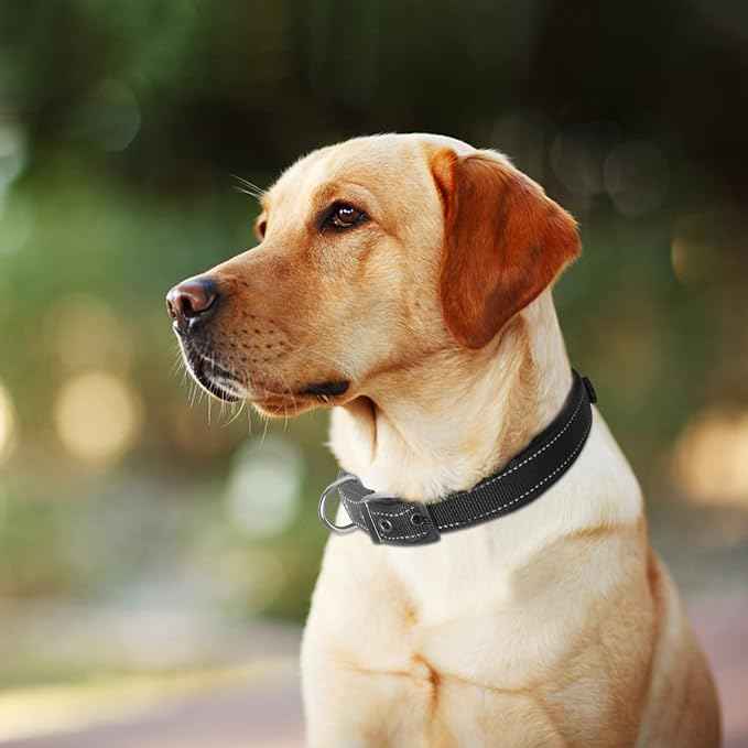 Fida Heavy Duty Dog Collar, Ultra Comfortable Soft Neoprene Padded, Adjustable