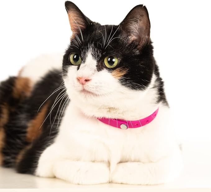 5 Pack Breakaway Cat Collar - Image 7