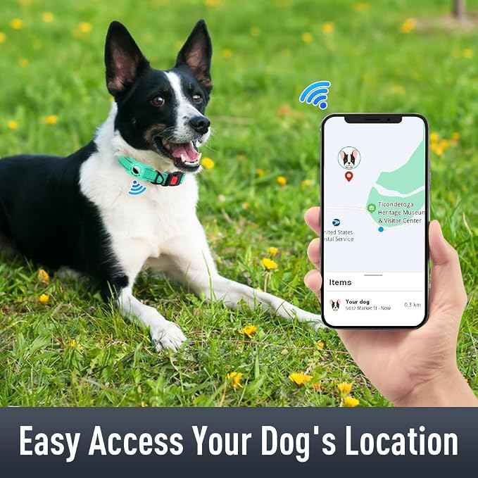 Airtag Dog Collar with AirTag Holder
