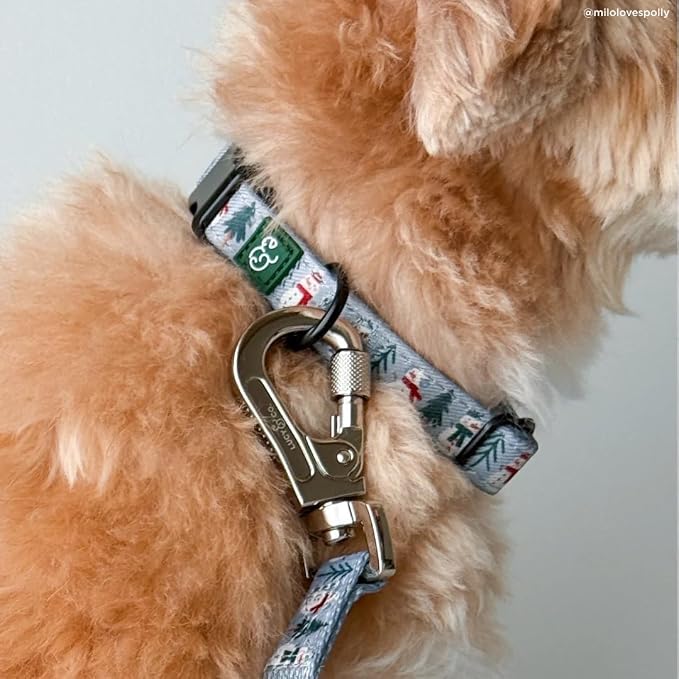 Lucy & Co. Dog Collar - Image 3