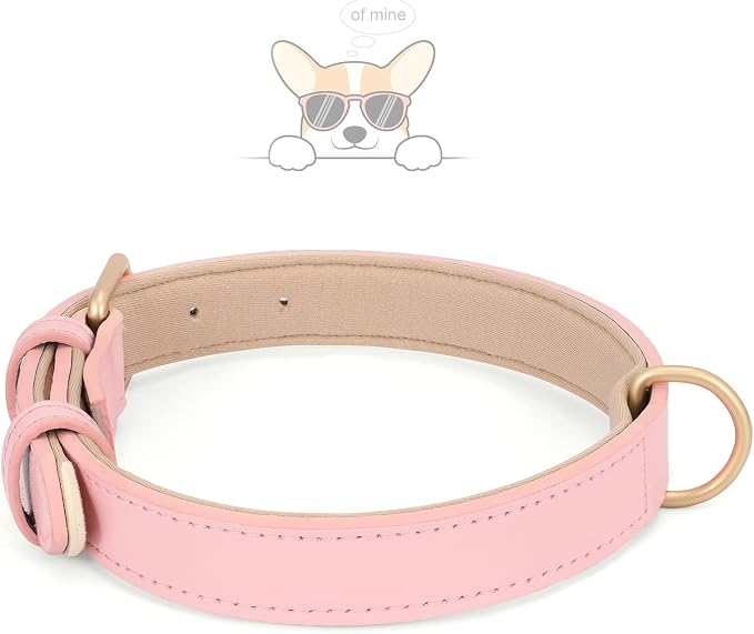 WHIPPY Airtag Leather Dog Collar GPS Tracker Air Tag Puppy Collar Adjustable - Image 5