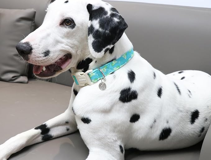DOGWONG Cotton Dog Collar, Spring Summer Dog Collar Durable Soft Natural Fabric - Image 4