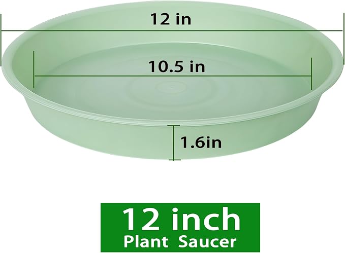 2 Pack of Bird Bath Bowl 12", 1.6" Depth, 10 12 inch Birdbath Bowls Dish Only - Image 2