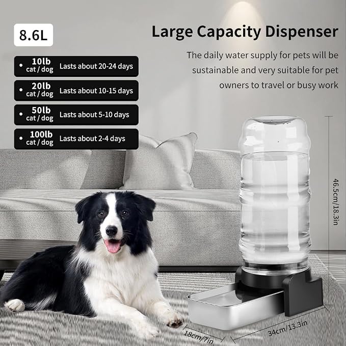 Marchul 2.3 Gallon Dog Water Dispenser, Large Dog Water Bowl Dispenser - Image 6