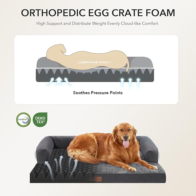 Orthopedic Dog Beds for Large Sized Dogs, Waterproof Egg Crate Foam Medium Dog - Image 2