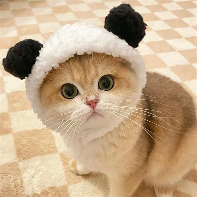 JOICEE Cute Cat Costume - Image 4