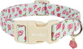 Dog Collar for Large Dogs, Spring &Summer Theme Blue Large Dog Collars by Unknown