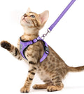 PUPTECK Cat Harness and Leash Set Escape Proof Reflective Cat Walking Harness by PUPTECK