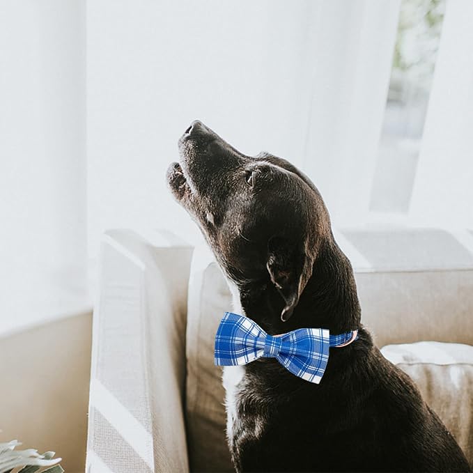 Lionheart glory Dog Collar, Boy Dog Collar Bowtie Blue Adjustable Dog Bowtie - Image 6