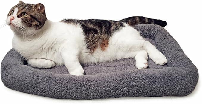 Cat Bed Washable Indoor Cat Cushion Bed, Soft and Cozy Plush Pet Bed-M by BillionChains