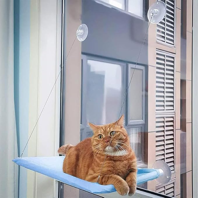 Cat Hammock with Suction Cups - Image 2
