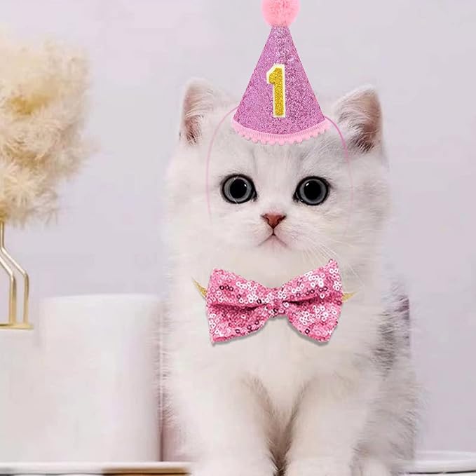 PET SHOW 4Pcs Pink Dog Birthday Hat - Image 5