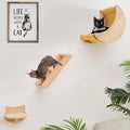 Cat Shelf for Wall Hammock Climbing Shelves and Perches Solid Wood Cat Steps by HAPYKITYS