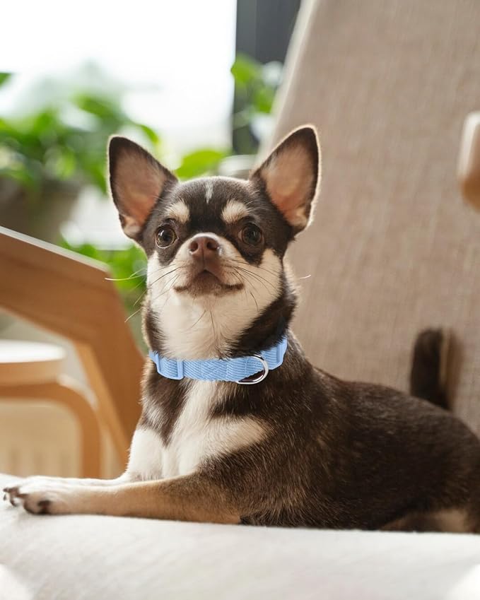 Dynmeow Soft and Breathable Cotton Dog Collar, Durable Adjustable Boy Pet Collar - Image 6