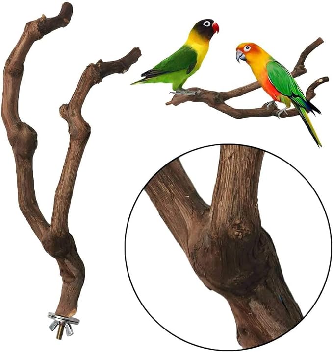 kathson Natural Parrot Perch Bird Stand Pole Wild Grape Stick Paw Grinding Fork - Image 4