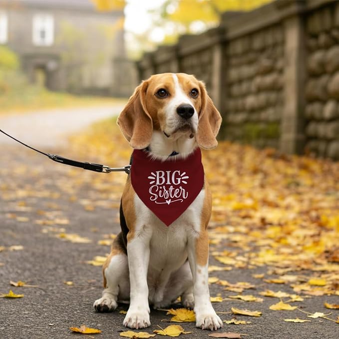 Big Sister Bandana for Dogs, Dog Pregnancy Announcement, Dark Red Dog Bandana - Image 5