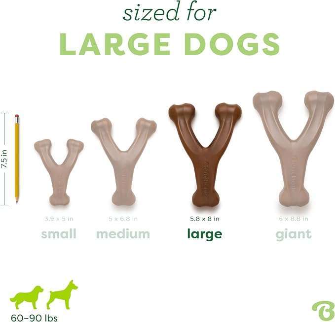Benebone Wishbone Durable Dog Chew Toy - Image 4