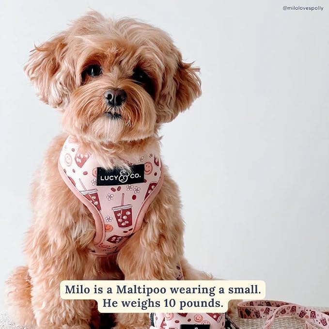 Cute Reversible Dog Harness - Image 5