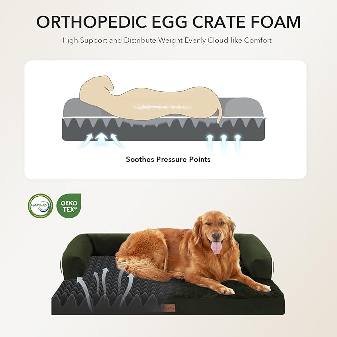 Orthopedic XXL Dog Beds, Waterproof Egg Crate Foam Big Pet Bed - Image 2