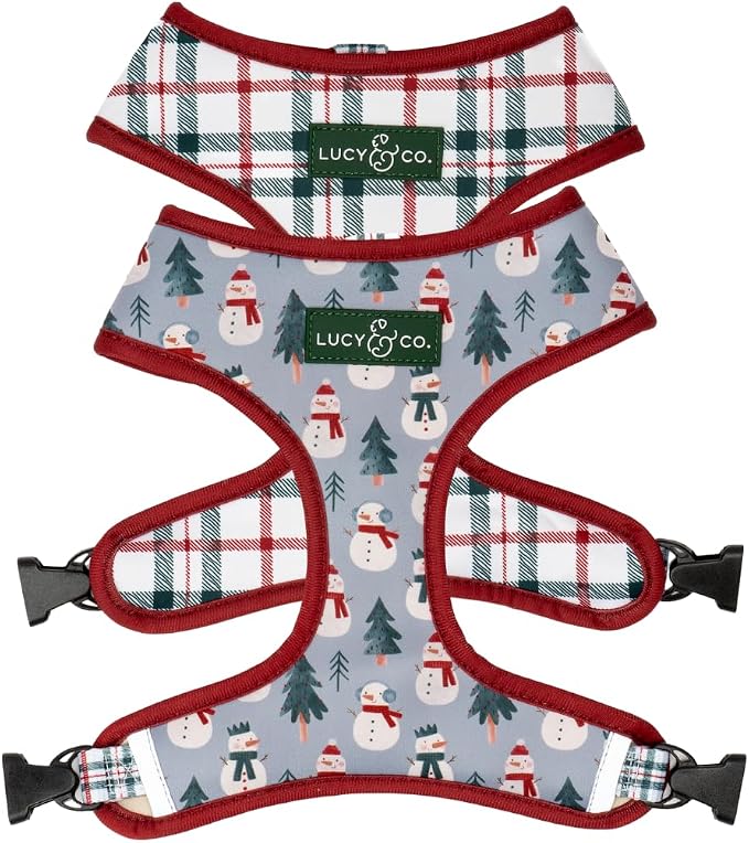 Lucy & Co. Cute Reversible Dog Harness Walking Halter by LucyCo