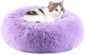 Purrfect Cat Beds by Unknown