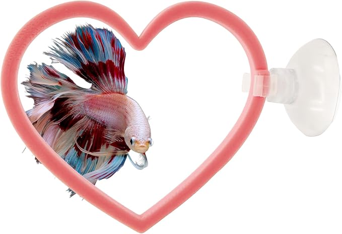 Heart Swim Ring Decor for Betta Fish, Interactive Exercise Toy for Aquariums by CTWPets