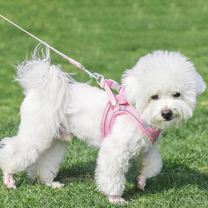 AIITLE Comfortable Dog Harness and Leash Set - Image 8