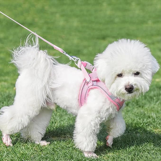 AIITLE Dog Harness, No-Pull Cat Harness - Image 8