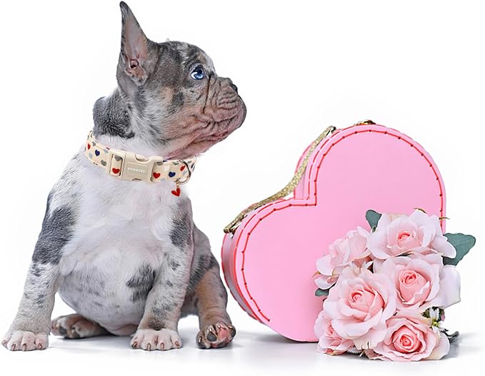 DOGWONG Valentine's Dog Collar-Hearts Print Dog Collar - Image 5