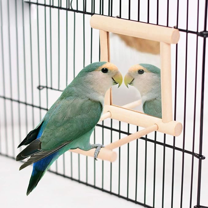 HANZE Bird Mirror Swing with Rattan Ball | Natural Wood Parrot Toy with Metal - Image 2