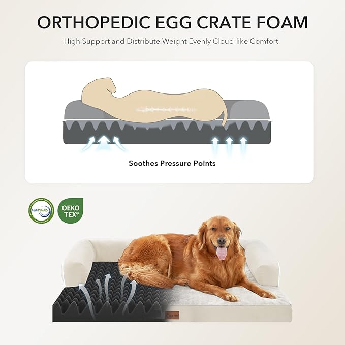 Orthopedic Dog Beds for Large Sized Dogs, Waterproof Egg Crate Foam Medium Dog - Image 2