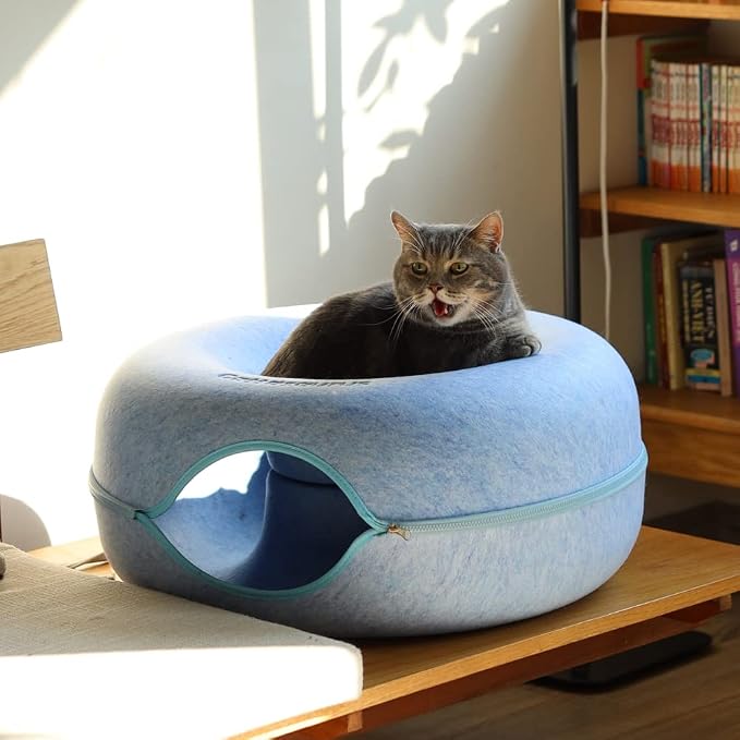 Cattasaurus Peekaboo Cat Cave Donut - Image 7