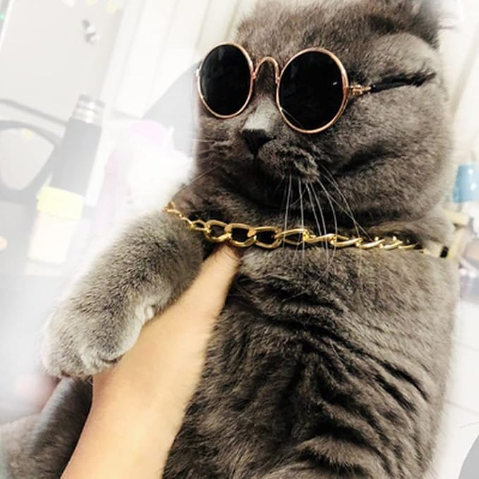 6 Pieces Pets Dog Cat Bowtie Pet Sunglasses and Summer Pet Straw Hat - Image 6