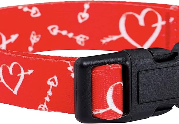 Native Pup Valentine’s Dog Collar- Valentines Day Pet Collars- Valentine Girly - Image 5
