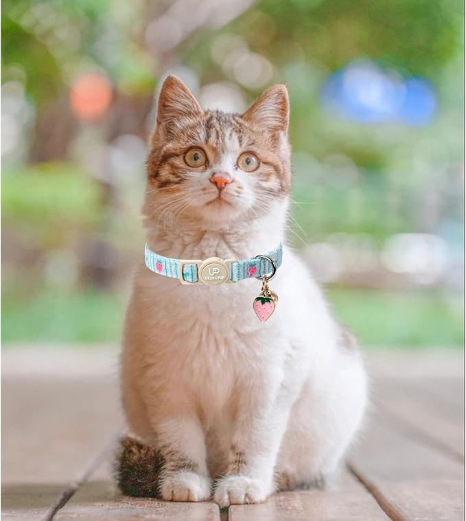 Cat Collar, Cat Collar with Bell, - Image 4