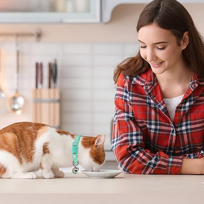 Baeuppit 2PCS Breakaway Cat Collars - Image 2