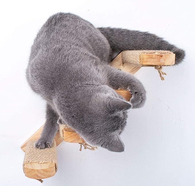 Skywin Cat Steps - Image 2